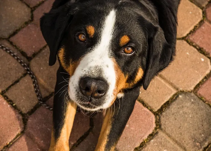 Bed & Breakfast Magic