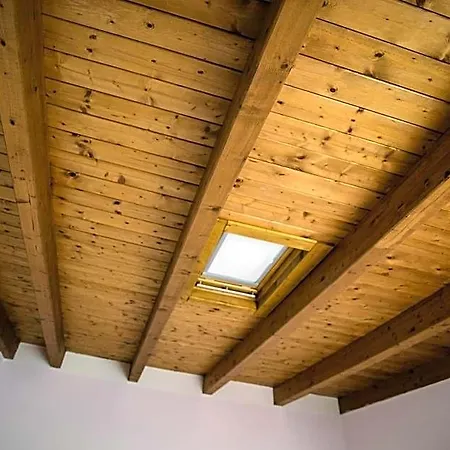 Magic