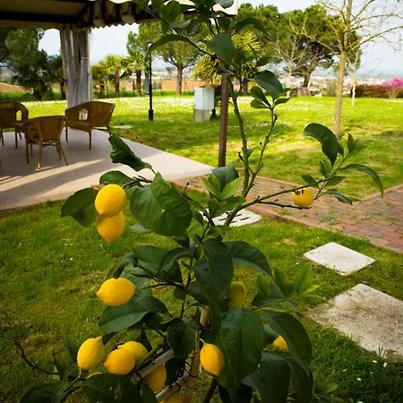Alojamento de Acomodação e Pequeno-almoço Magic
