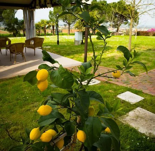 Bed and Breakfast Magic